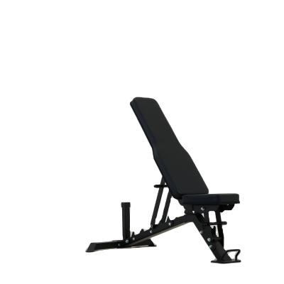 China Folding Dumbbell Chair for Indoor Bodybuilding Workout at Home Gym Fitness Equipment for sale