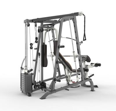 China Affordable Home Gym Smith Machine For Home Mutli Function Station 20'/unit 42 Modern Style for sale