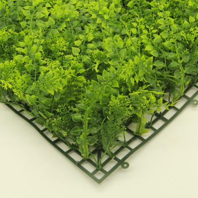 China High quality uv resistant artificial wall fence panels boxwood wholesale for sale