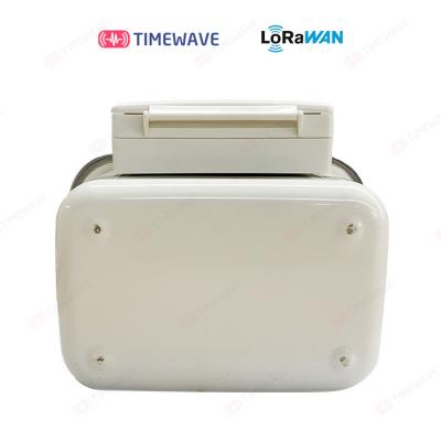 China Wall Mounted Direct Connect Pre Payment Type LoRaWAN Gas Meter With 300bps-50kbps Data Rate for sale