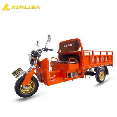 China Cheap Two Seats Cargo Electric Adult Tricycle for sale