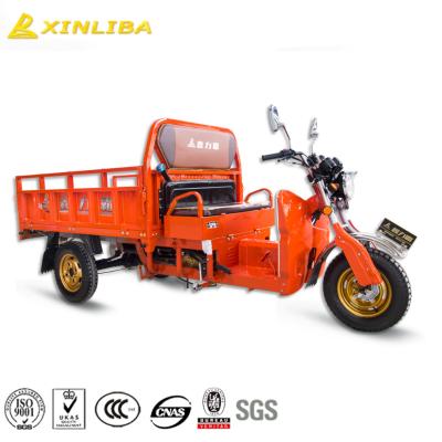 China Sale Malaysia Dubai Africa cargo tricycle for sale