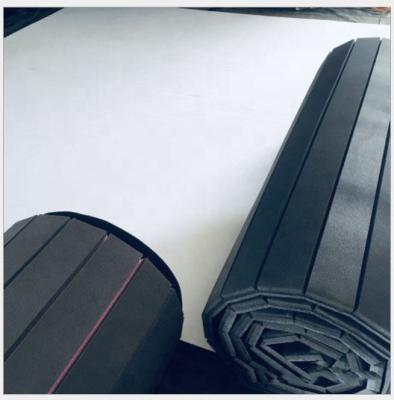 China Indoor Judo Use Roll Out Martial Arts Wrestling Training Mats for sale