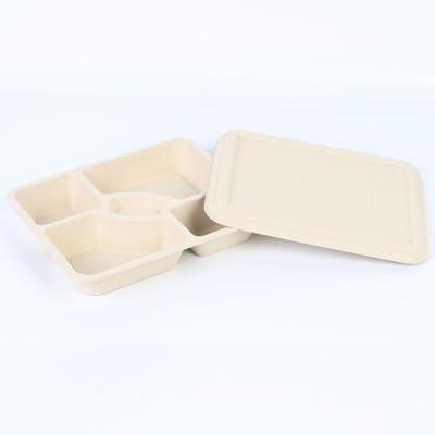 China 5 Compartment Biodegradable Lunch Trays Environmental Disposable Tableware With Lid for sale