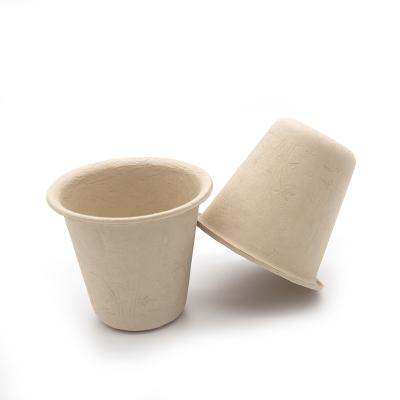 China Disposable Biodegradable Communion Non-foam Egg Soup Cup Banboo Fiber Water Container for sale