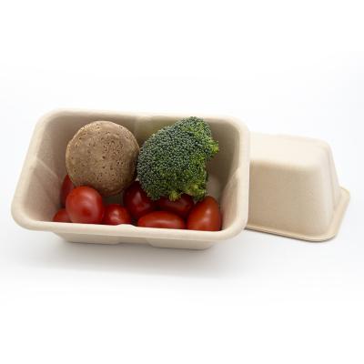 China Disposable Environmental Hot Selling Bamboo Fiber Bento Box Square for sale