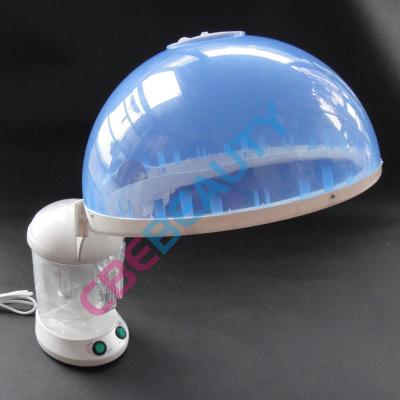 China kd-2328A mini ozone facial and hair DEEP CLEANING steamer for home use for sale