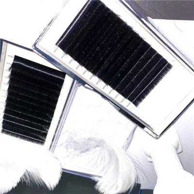 China Premade Full Volume Eyelash Extension Volume Fans Different Silk Eyelash Extensions Foil Back Eyelash Extension for sale