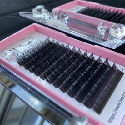 China Natural Long Classic Long Eyelashes Single Eyelash Extensions Classic Box Private Label for sale