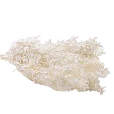 China Real factories wholesale yongsheng flower decoration bouquet matching wealth leaf material white spot for sale