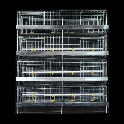 China Farms Chicken Broiler Layer Cage H Type Broiler 4 Layers Poultry Cages Day Old Chicks Chicken Cage for sale