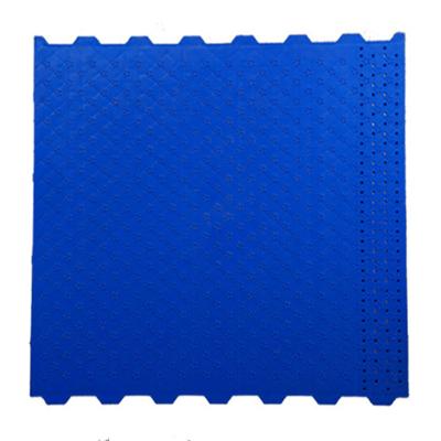 China Farm Hog Leak Plastic Dung Plate Small Holes 60CM*70CM Leak Dung Plate for sale