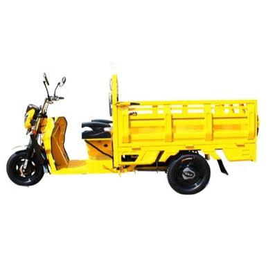 China Popular 3 Wheel Electric Tricycle Cargo Tricycle Triciclo Electrico Electric Adult Tricycle For Cargo Good Quality Nice Price for sale