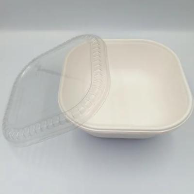 China Disposable Bagasse Tableware And Eco Friendly Food Container Bagasse Rolls With Lid for sale