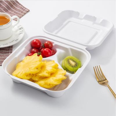 China Degradable Food Packaging Pulp Lunch Box Take Out Packaging Container 8 Inch Three Compartment Box for sale