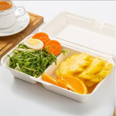 China Degradable Food Packaging Bagasse Pulp Tableware Take Out Packing Box 1000ml Two Boxes for sale