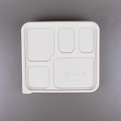 China Disposable Food Cornstarch Dividing Meal Box Disposable Biodegradable Meal Box for sale