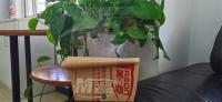 China Cast 4x8Ft Plexiglass Clear Acrylic Sheet Impact Resistance for sale