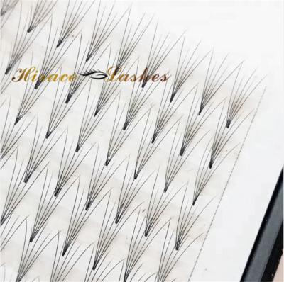 China Good Quality Natural Soft Korean Material Fans PBT Premade 0.07 Lashes Volume Silk Eyelash Extensions for sale