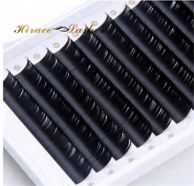 China Korean Matte Black Soft Eyelash Extensions 0.07 Natural Soft Silk Wick Extension for sale