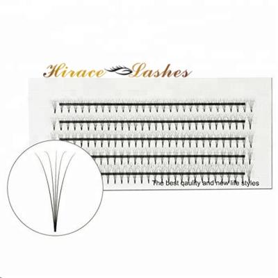 China Premade Natural Soft Volume Fans Russian Lashes Short Rod 8d 10d Eyelash Extensions for sale