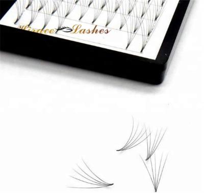 China 0.05mm Volume 3D Lash Extensions Professional Makeup Natural Soft Mixed Eye Lashes 8-20mm for sale