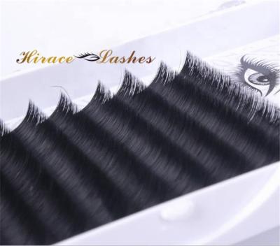 China Natural Soft Flower Eyelash Extensions Custom Logo Volume Quickly Fanning Lashes for sale