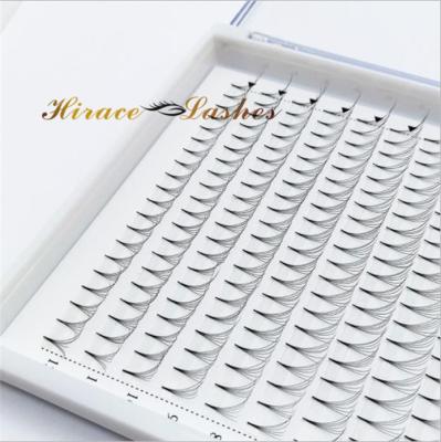 China Fans 1000 Promade Volume 6d 8d 12d 14d Storage Lash Tray Natural Soft Mega Fast Tapered Eyelash Extensions Loose Bass for sale