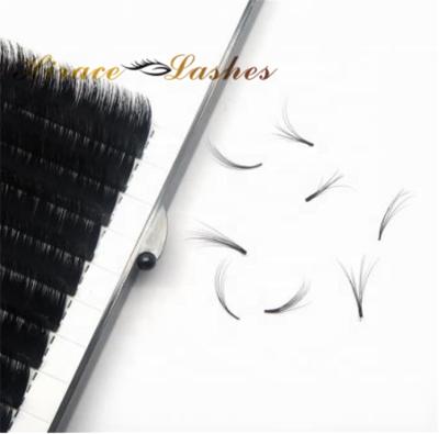 China Natural Soft 0.03 Whip Extension 0.07 Quick Lay-In Silk Lashes for sale