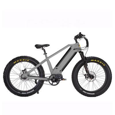 China High Power 48v1000w Fat Tire Motor Luxury E Bike Electric Bicycle for sale