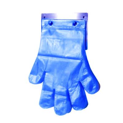 China 100pcs Restaurant Cafe Vegetable Garden Food Serving Disposable Plastic PE Gloves With Label Cards for sale