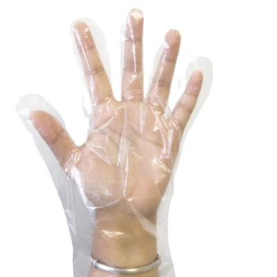 China Disposable Plastic Disposable Plastic PE Transparent HDPE Food Service Gloves Poly Food Grade Gloves for sale