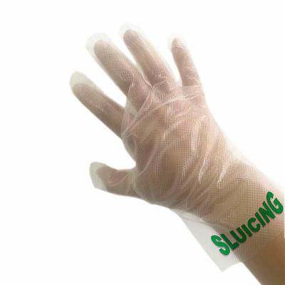 China Catering Service Disposable Embossed Gloves 500 Pieces Disposable Plastic Food Gloves, Food Handling Painting Gloves for sale