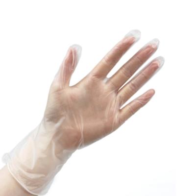 China Food Contact Grade Powder Free Vinyl Gloves PVC Material Food Grade Disposable Gloves Cleaning Products for sale