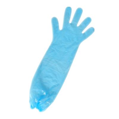 China Disposable Veterinary Gloves PE Plastic Gloves For Animals M for sale