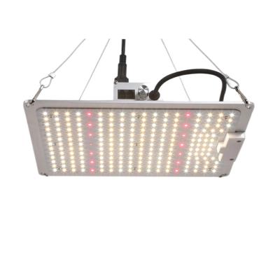 China With Dimmable and Daisy Chain Factory wholesale 100W led grow light with Dimmer and Daisy Chain for VEG for sale