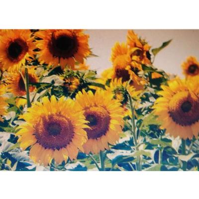 China Modern Pure Hand Painted Sunflower Oil Paintings Reproductions For Wall Decoration for sale