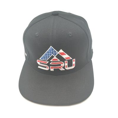 China Custom Famous Brand 3D Embroidery Snapback Hats Top Quality COMMON Hat for sale