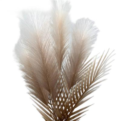 China Natural Touch Factory Manufacture Various Artificial Pampas Grass Decoration Artificial Pampas Grass for sale