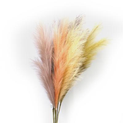 China Cheap Natural Touch Custom Large Fluffy Popular Hot Selling Faux White Preserved Artificial Pampas Grass for sale