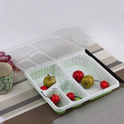 China Recycled Materials Four Colors Compartments Two Colors Fast Food Box Plastic Blister Disposable Meal Box for sale