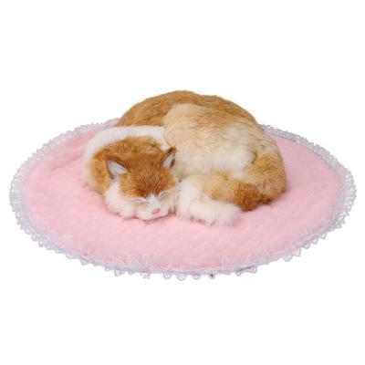 China Heating pet heating mats pads for sale