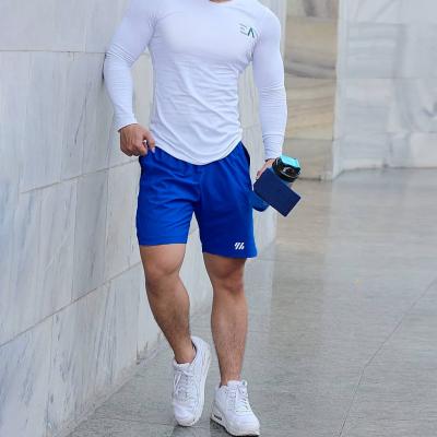 China 2022 New Summer Anti-wrinkle Streetwear Man Running Sports Shorts Branded Logo Men Gym Shorts for sale