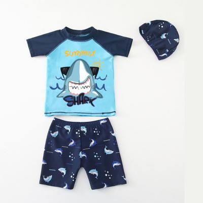 China Breathable Three Piece Boy Swimsuit With Hat Shark Print Swimwear Short Sleeve Swim Trunks Summer Set Swimwear for sale