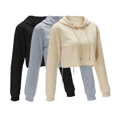 China Custom Fashion Shorts Women's Breathable Crop Logo Printing Cotton Top 100% Plain Fashion Sweatshirts Hoodies for sale