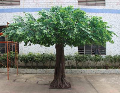 China decorative cheap wholesale indoor artificial banyan tree plant bonsai artificial ficus benjamina tree in Guangzhou for sale