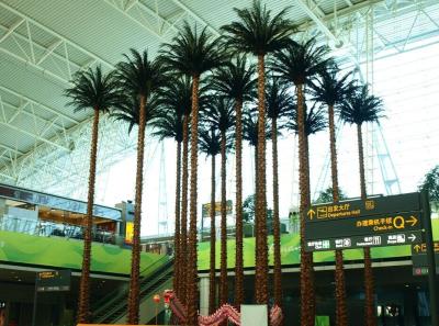 China 2017 Top sale Artificial palm trees manufacturer wholesale high imitated indoor artificial palm tree decoration for sale