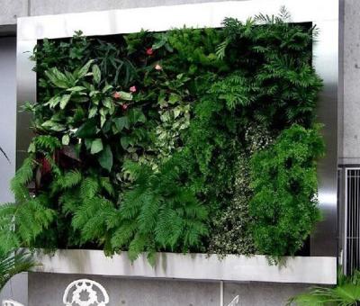 China hot sale greenery wall artificial vertical grass wall fake wall hang plant for indoo/ outdoor decoration for sale