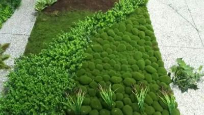 China China Factory wholesale artificial ornamental plants for wall decoration cheap artificial plant wall for sale