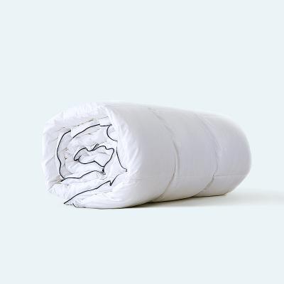 China High Quality Anti-allergy Products High Demand Duvet Insert Goose Down Filled Bedding Comforter Inserts for sale